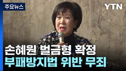 대법, '목포투기' 손혜원 벌금형 확정...'기밀 이용'은 무죄 / YTN