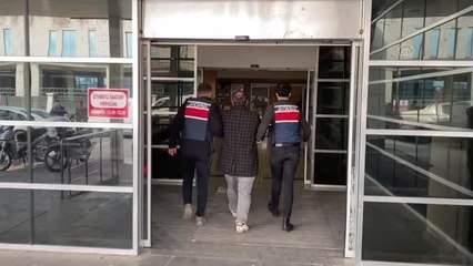 Terör örgütüne yönelik operasyonda 1 kişi gözaltına alındı