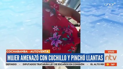 "Sólo defendí mi puesto de venta, yo no estoy loca", aseguró la mujer que amenazó y pinchó llantas en la avenida Beijing