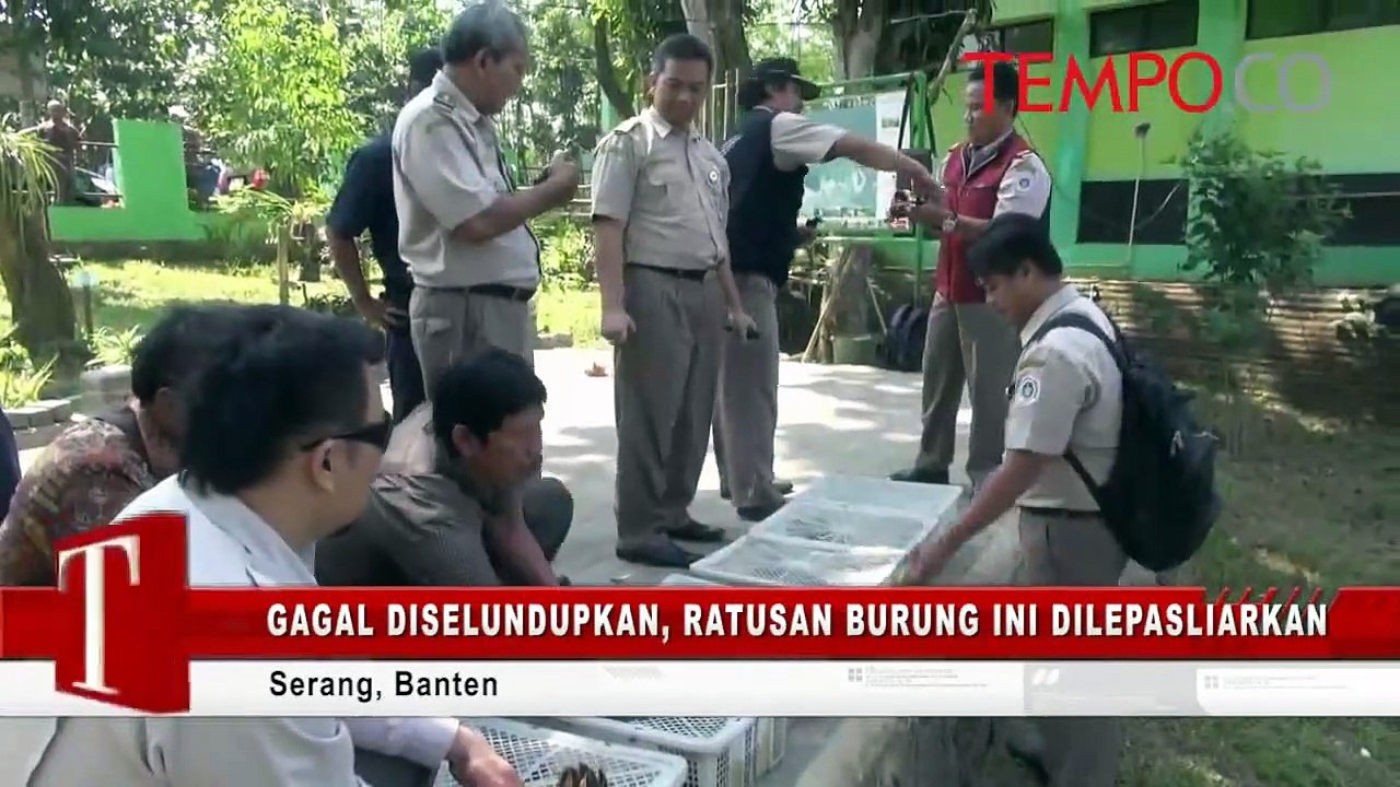 Gagal Diselundupkan, Ratusan Burung Ini Dilepasliarkan