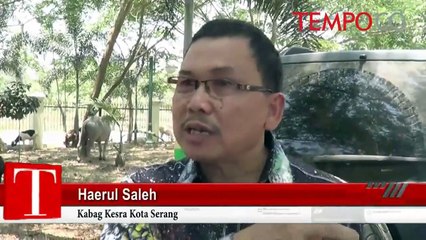 MUI: Hewan Kurban Dibeli dari Duit APBD Ini Tidak Sah; Kenapa?