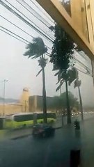 Chuva em BH - Vento na Antonio Carlos
