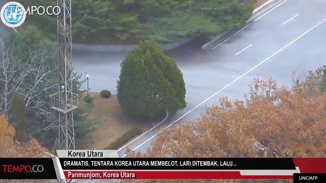 Dramatis Tentara Korea Utara Membelot, Dor Dor, Lalu...