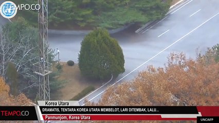 Dramatis Tentara Korea Utara Membelot, Dor Dor, Lalu...