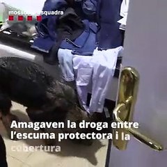 Dos detenidos por repartir droga a domicilio escondida en el casco de moto en Barcelona