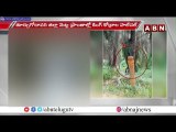 తూర్పు గోదావరి జిల్లాలో కింగ్ కోబ్రా హల్ చల్..|| King Cobra || East Godavari || ABN Telugu