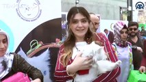 Kontes Kecantikan Kucing, Mengapa Kucing Van Menang