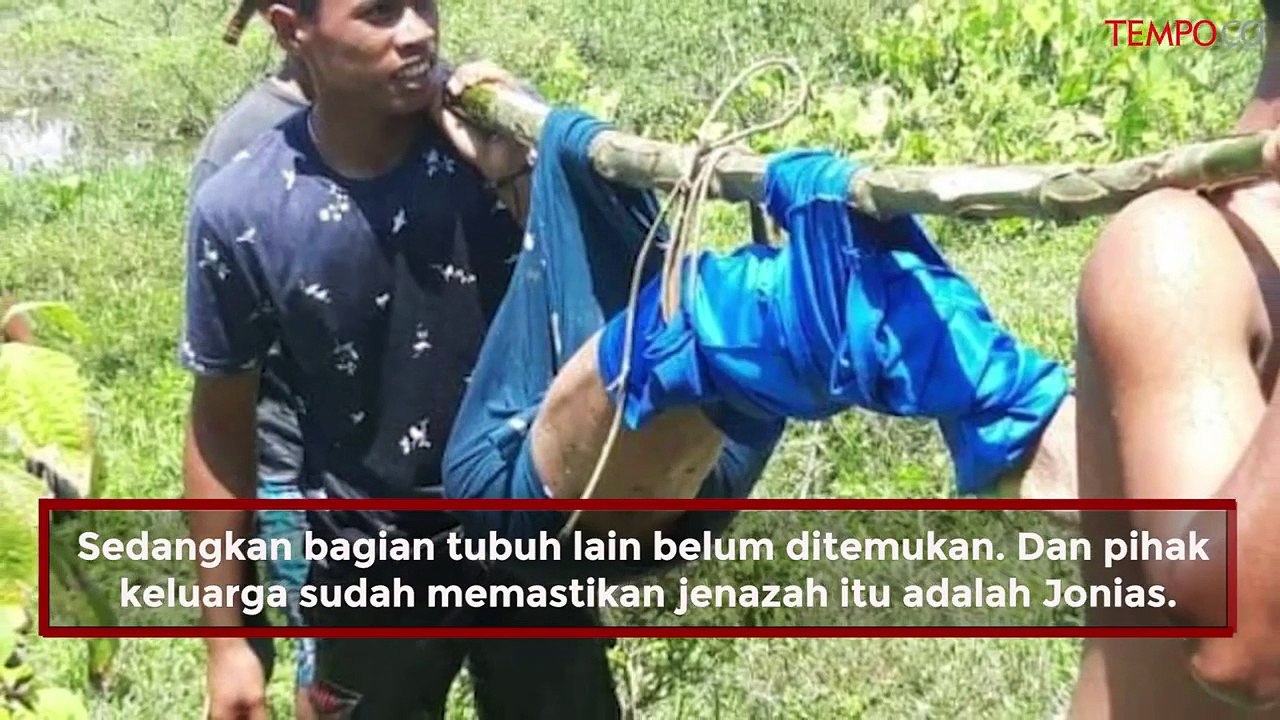 Pamit Menjala Ikan, Jonias Tewas dimangsa Buaya