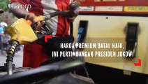 Harga Premium Batal Naik, Ini Pertimbangan Presiden Jokowi