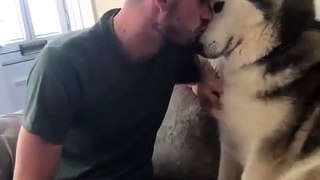 This dog can understand its owner