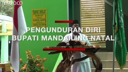Bupati Mandailing Natal Mundur, Terkait Kalahnya Jokowi?