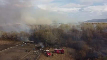 Ağaçlık alanda çıkan yangına müdahale ediliyor