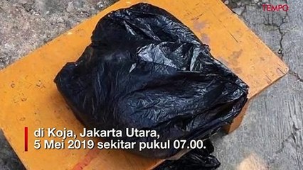Penemuan Mayat Bayi di Atap Rumah,  Polisi Periksa TKP