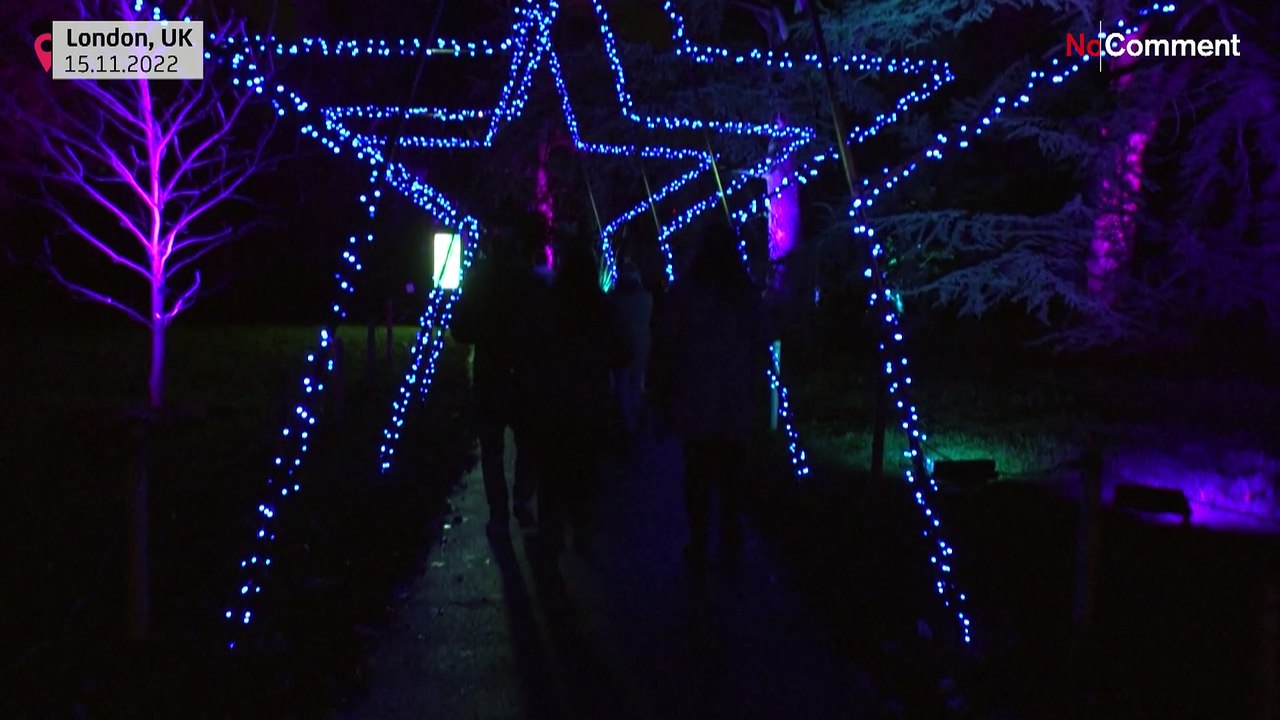 London: Kew Botanicals Garden schaltet Weihnachtsbeleuchtung ein