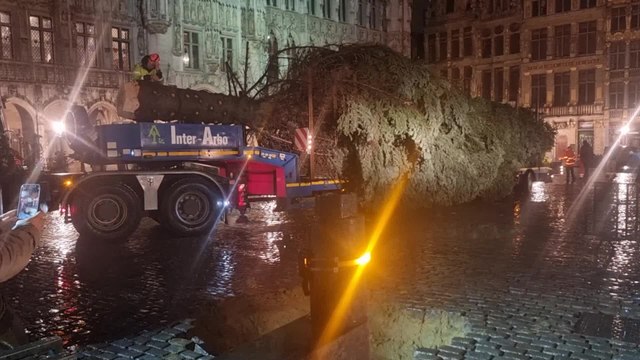 Le sapin de Noël a été installé sur la Grand-Place de Bruxelles