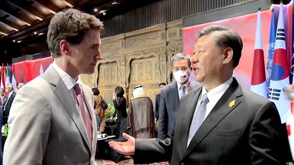 Xi Scolds Trudeau at G-20 Over Leaked Conversation - TaiwanPlus News