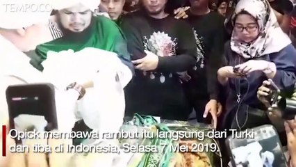 Terima Rambut Nabi Muhammad SAW, Opick akan Siapkan Tempat Khusus