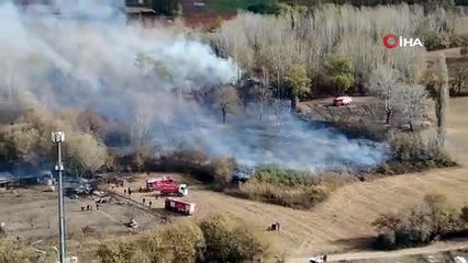Bursa'da ağaçlık alanda yangın