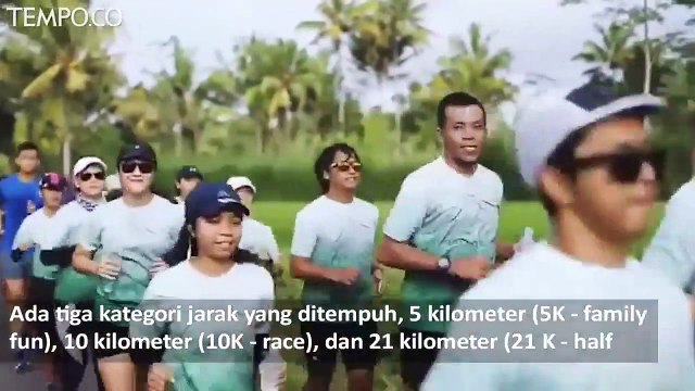 Lomba Lari Volcano Run 2019 Bareng Tempo Diikuti 2.500 Peserta