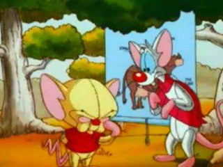 Pinky And The Brain - S3E37 E38 - The Megalomaniacal Adventures Of Brainie The Poo - The Melancholy Brain