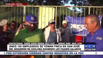 ¡Por falta de pago! Decenas de empleados se toman finca bananera en Choloma