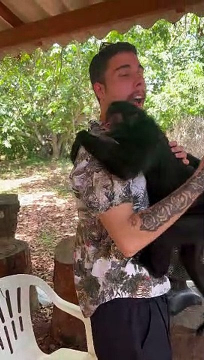 Monkey Suprises Man With Hug