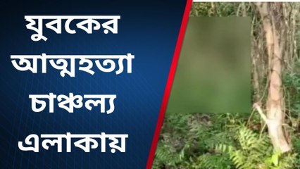 ভয়ঙ্কর! বাগানের গাছে ঝুলছে যুবকের ঝুলন্ত দেহ, দেখুন হাড়হিম সেই ভিডিও