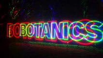 FIRST LOOK: Christmas At The Botanics 2022 dazzles with Northern Lights showstopper