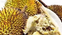7 Manfaat Durian, dari Tekanan Darah sampai Gula Darah