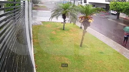 Câmera flagra mulher arrancando flores