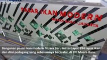 Video Drone: Melihat Pasar Ikan Modern Muara Baru