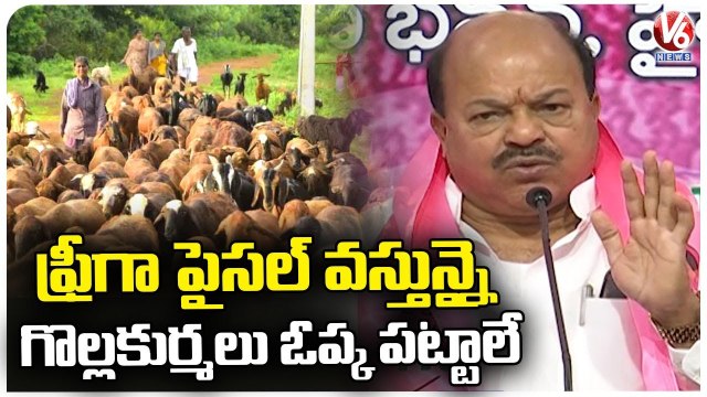 TRS MLC Yegge Mallesham Fire On Rajagopal Reddy Comments | Sheep Distribution Scheme | V6 News (1)