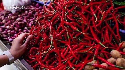 Harga Cabai Turun Drastis