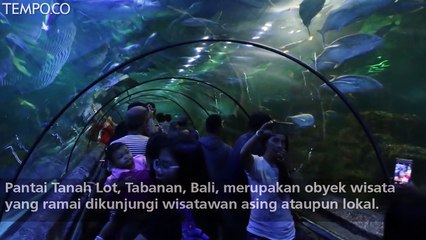 Libur Natal, Tempat Wisata Diserbu Pengunjung