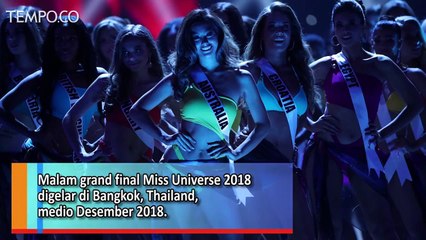 Top 3 Miss Universe 2018, Ini Penampilan Mereka