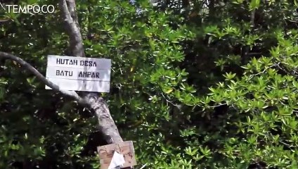 Tokoh Kehutanan: Potensi Hutan Batu Ampar