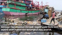 Pada 2050 LIPI Sebut Sampah Plastik Melebihi Jumlah Ikan