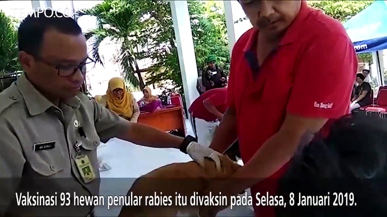 Antisipasi Penularan Rabies, 93 Hewan Peliharaan Divaksin Massal