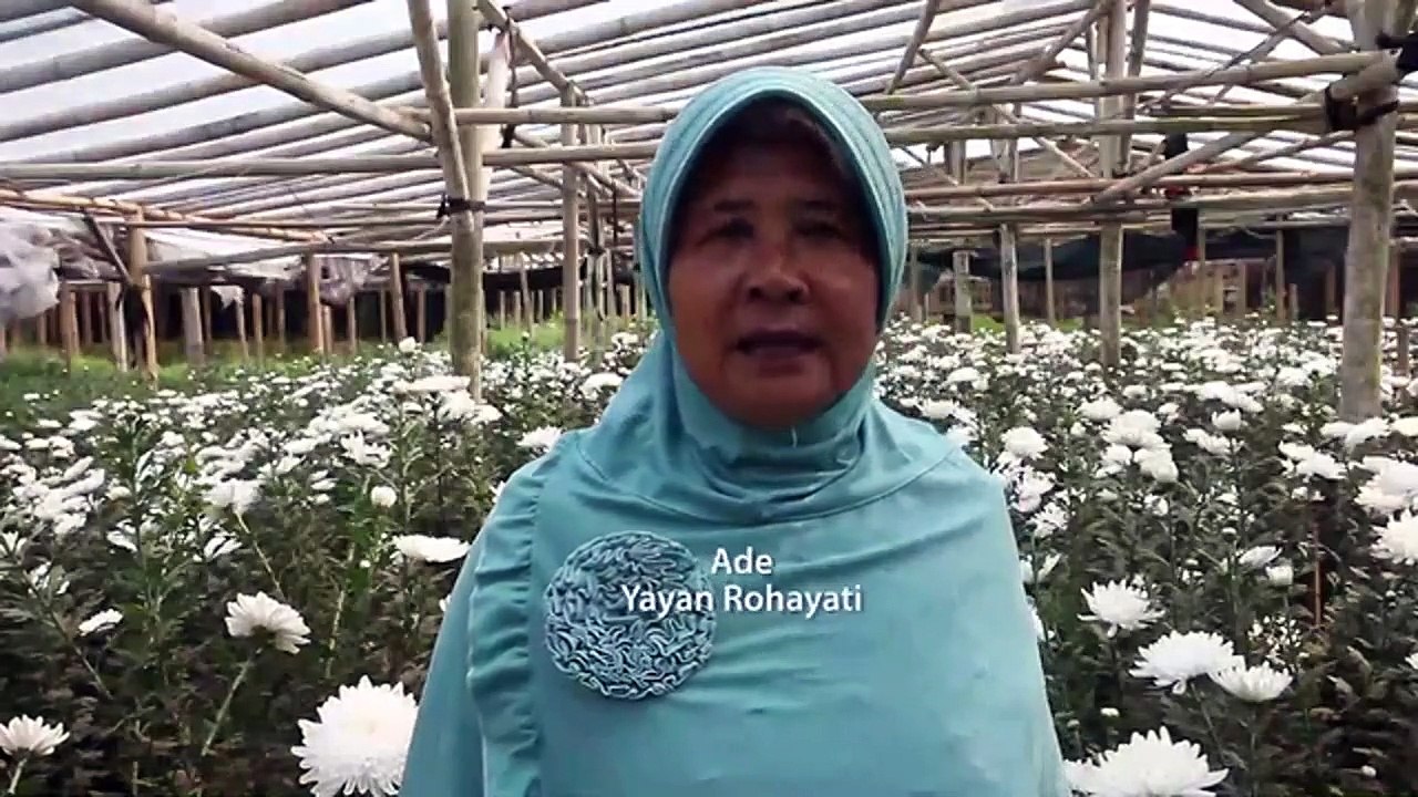 Testi Nani 3 - Eng