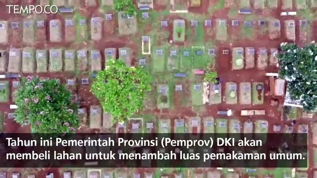 Video Drone: Pemprov DKI Siapkan Rp 400 Miliar Perluas TPU