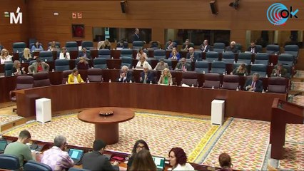 Más Madrid exige a Ayuso un pacto para "erradicar" frases como- "Los que se pelean se desean"