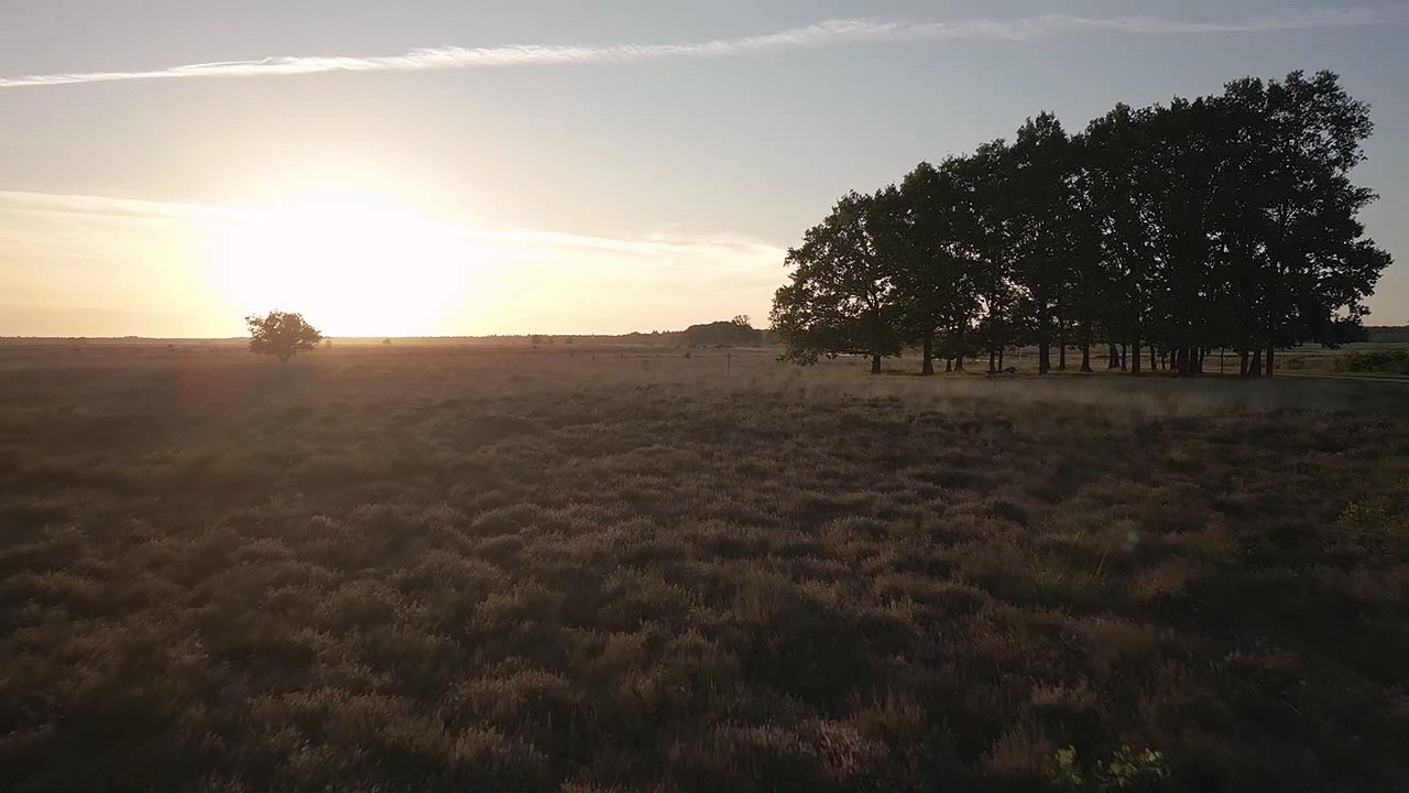 Meditation   sunset -