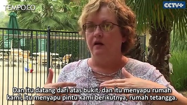 Kesaksian Korban Selamat Kebakaran Hutan California