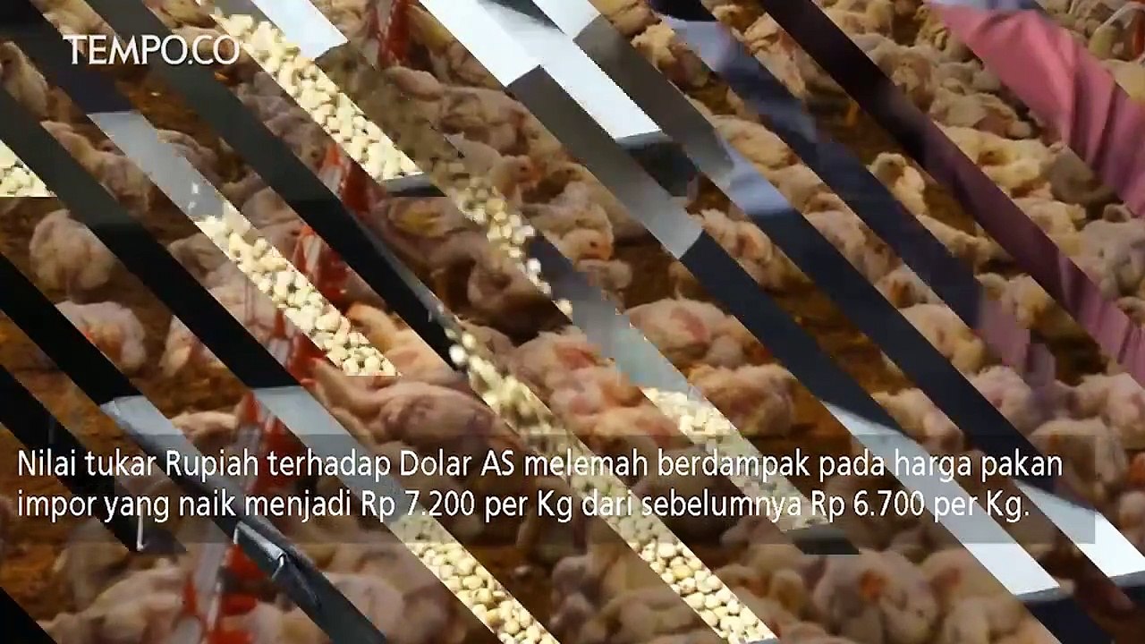 Dampak Rupiah Melemah Terhadap Dolar Amerika Serikat