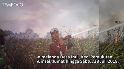 Lahan Terbakar di Ogan Ilir, Pemadaman Terkendala Minimnya Air