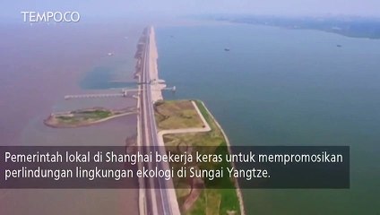 Shanghai Lindungi Ekologi di Sungai Yangtze