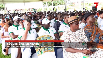 7 minutes du 14 novembre 2022 (édition du 12h)