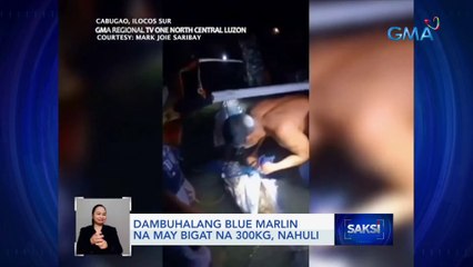 Dambuhalang blue marlin na may bigat na 300kg, nahuli | Saksi