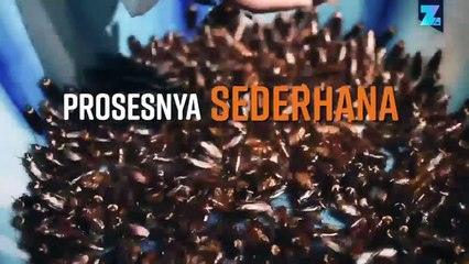 Jus Kecoak: Minuman Sehat Kamu yang Baru?