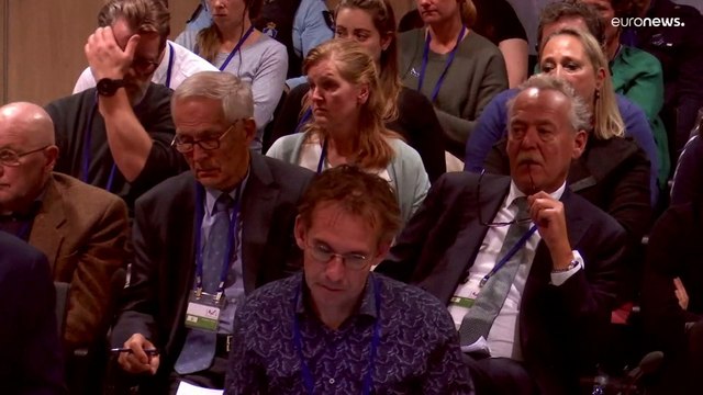 Суд в Нидерландах признал виновными Гиркина, Дубинского и Харченко в крушении малайзийского Боинга